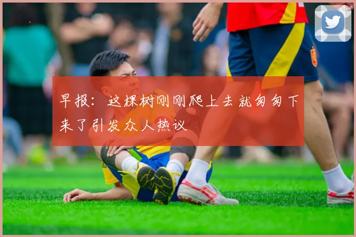 早报：这棵树刚刚爬上去就匆匆下来了引发众人热议