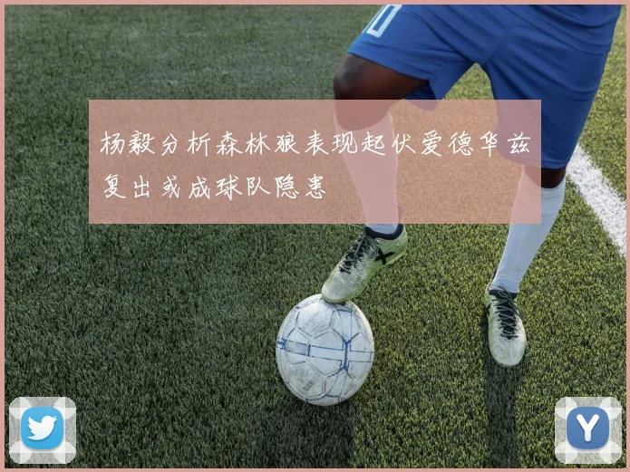 杨毅分析森林狼表现起伏爱德华兹复出或成球队隐患